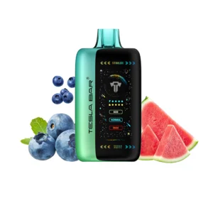 TESAL BAR  XT 40000 PUFFS BLUEBERRY WATERMELON 50MG