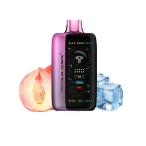 TESAL BAR  XT 40000 PUFFS JUICY PEACH ICE 50MG
